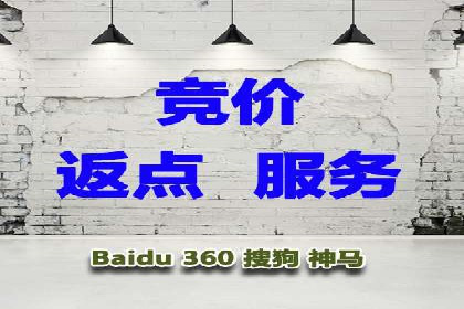 百度搜索引擎优化推广：成功案例揭秘